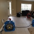 The Importance Of Bed Bug Spraying In Orlando For Manufactured Home Communities