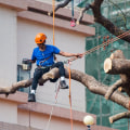 Why Tree Services Are Essential For Manufactured Homes In Storm-Prone Areas?