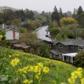 Why House Buyers Are Turning To Manufactured Homes In Walnut Creek