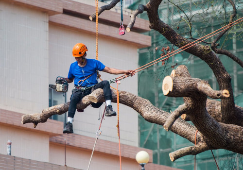 Why Tree Services Are Essential For Manufactured Homes In Storm-Prone Areas?