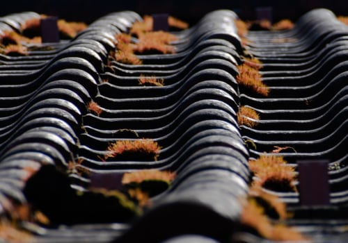 Protect Manufactured Homes in Sarasota, FL With a Professional Roof Inspection